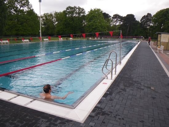 Das 50 m-Sportbecken bietet die ideale Voraussetzung für professionelles Schwimmtraining im Olympiastützpunkt Waldschwimmbad Rosenhöhe.