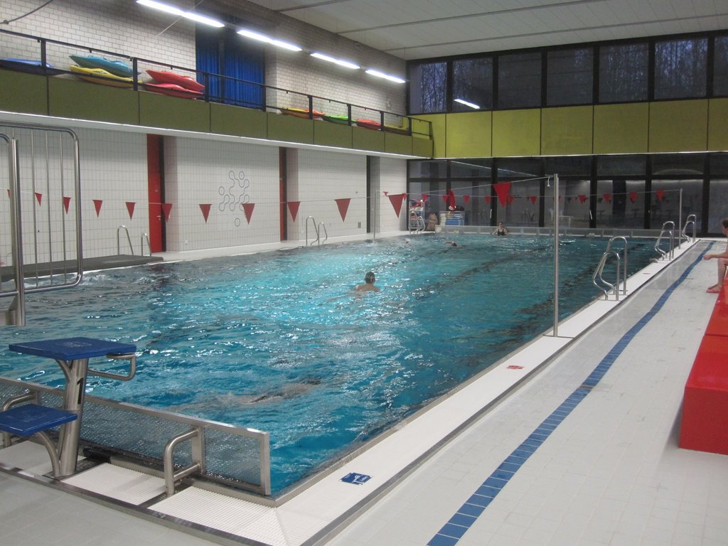 Schwimmerbecken mit Startsockel und Anschlagwand