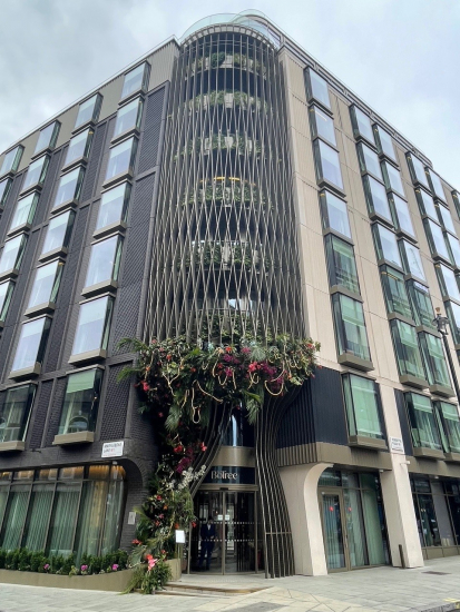 The BoTree (not open to puplic yet)